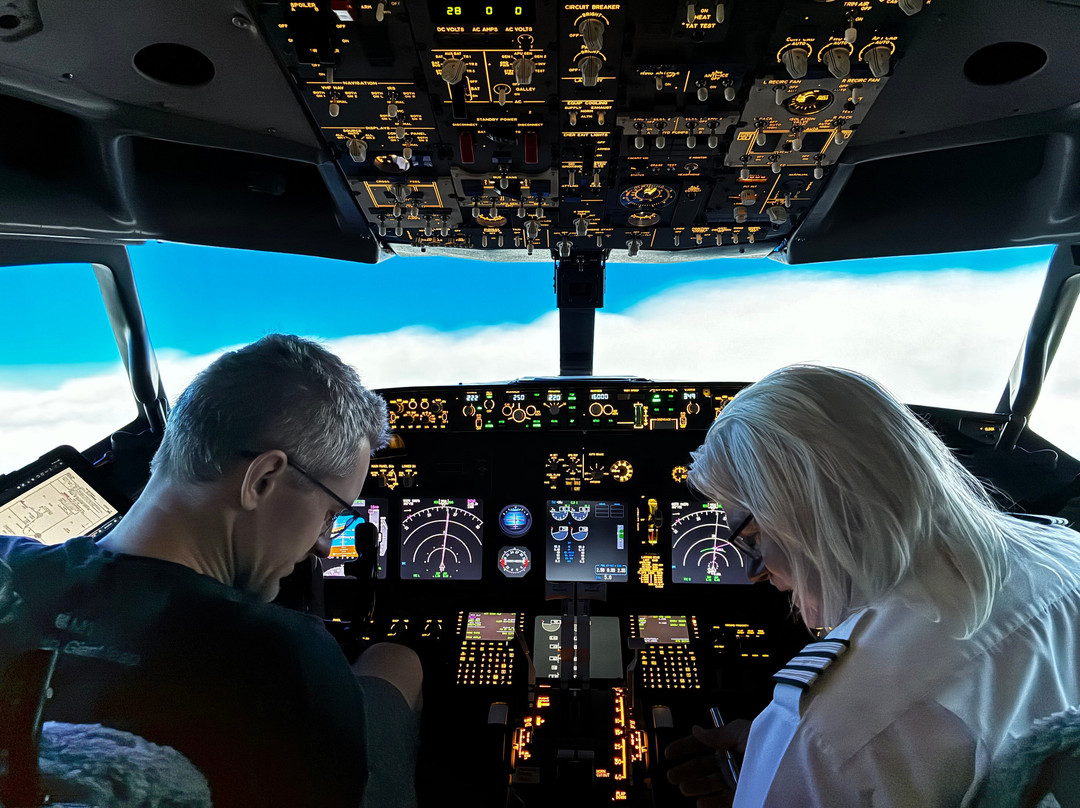 Sandpiper Flight Simulator-Somersham必去景点