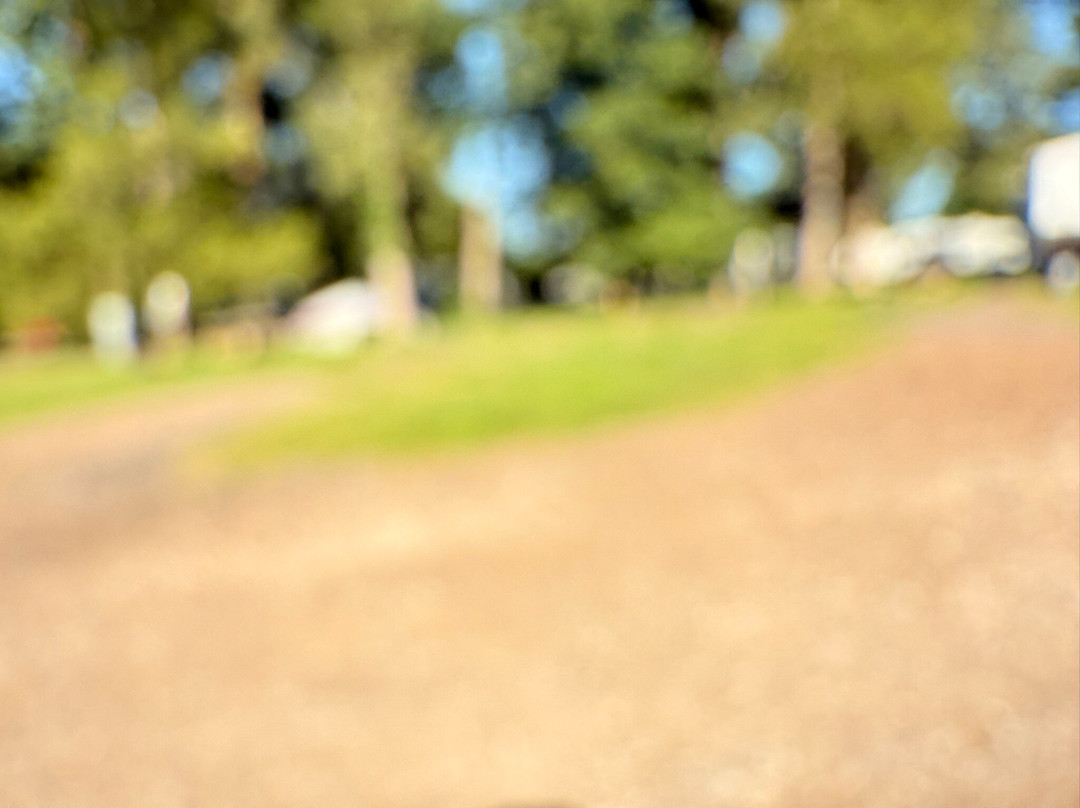 Serendipity: Brownsville's Venue and Resort