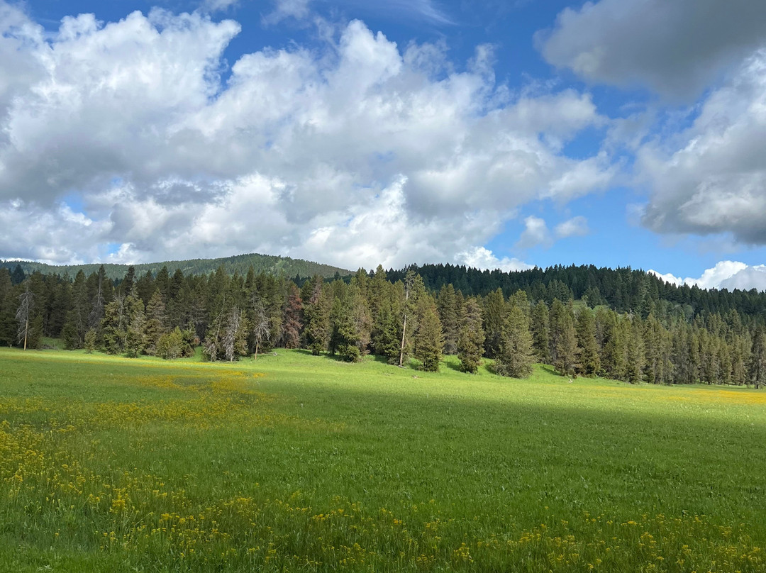 Dry Ridge Outfitters-艾兰帕克必去景点