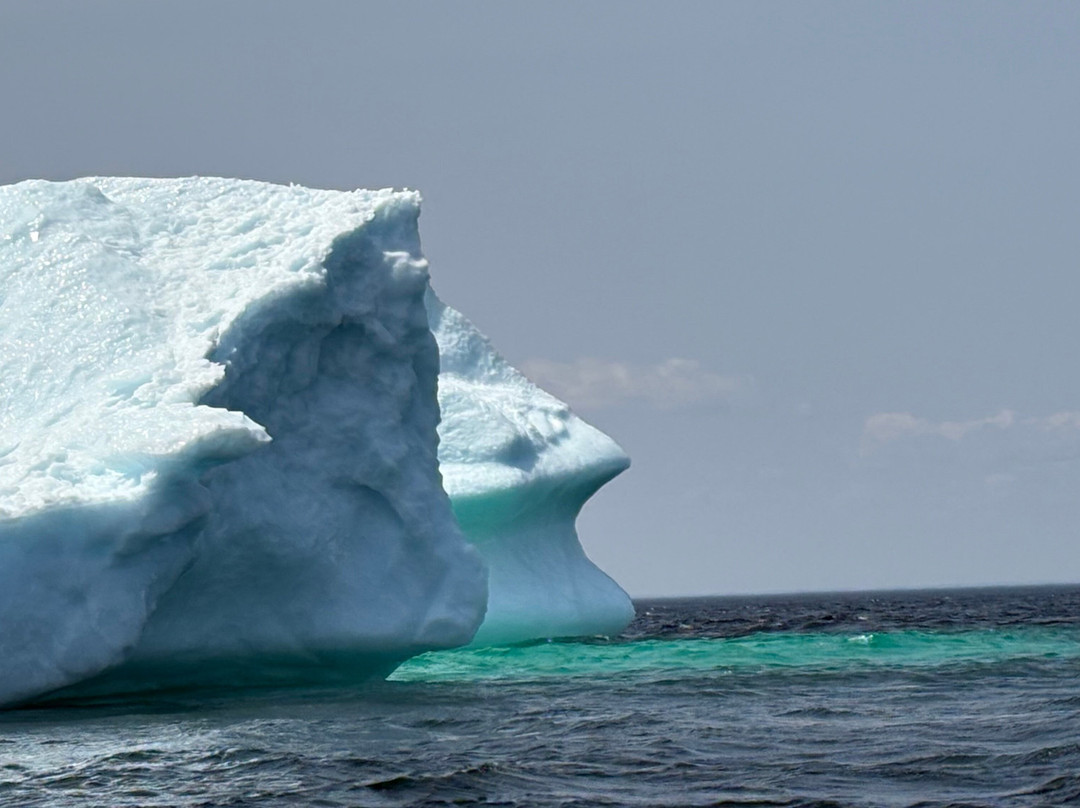 Newfoundland Photo Tours-圣约翰必去景点