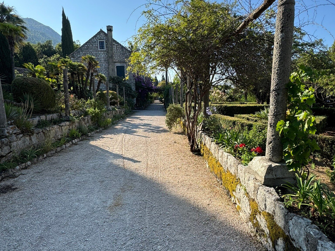 Trsteno Arboretum-特尔斯泰诺必去景点