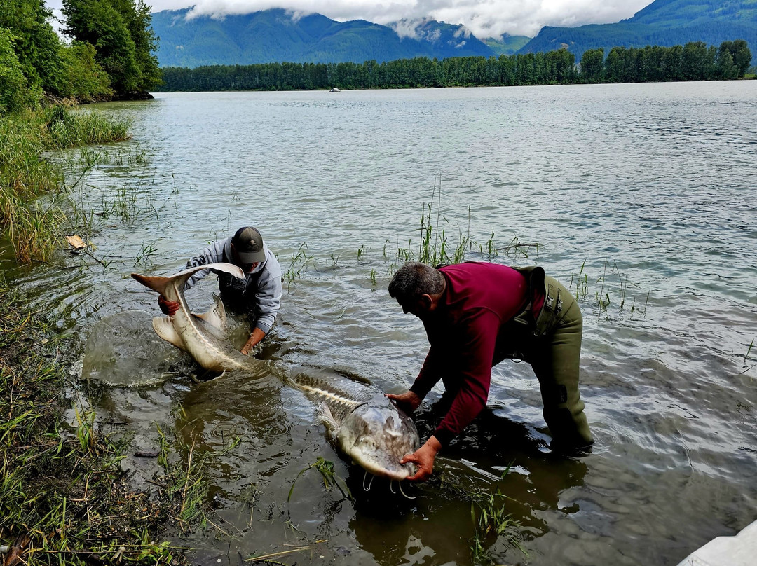 Sturgeon Hunter-奇利瓦克必去景点