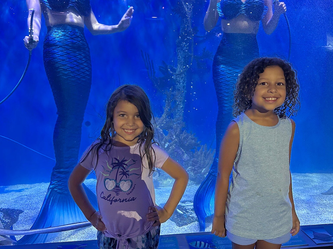 Mertailor's Mermaid Aquarium Encounter-Lecanto必去景点