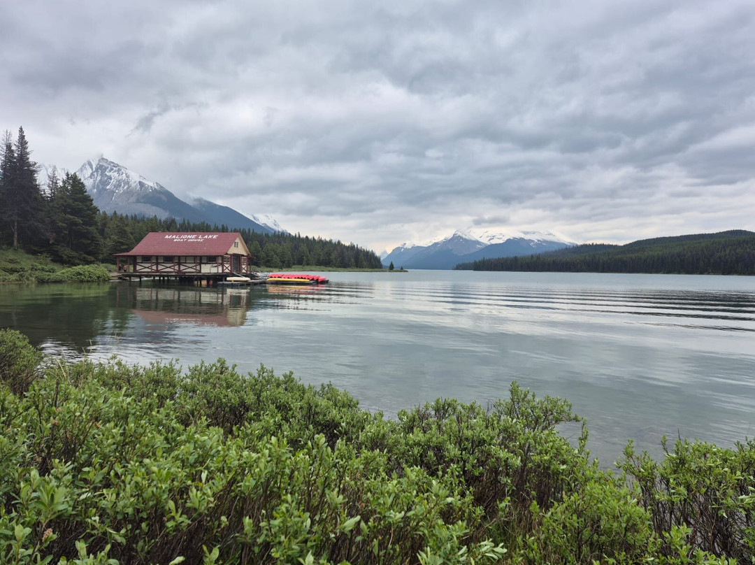 Timberwolf Tours-埃德蒙顿必去景点