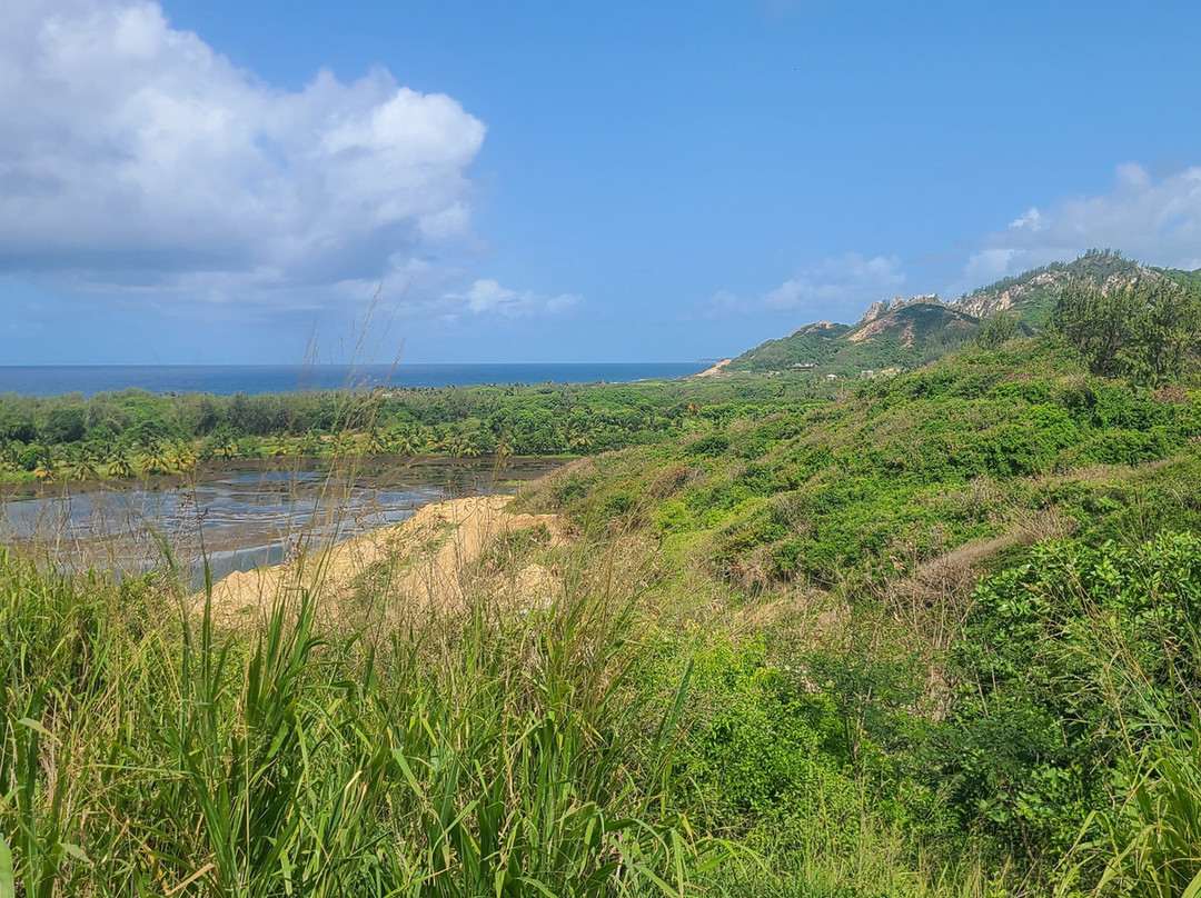 Walkers Reserve-布里奇顿必去景点
