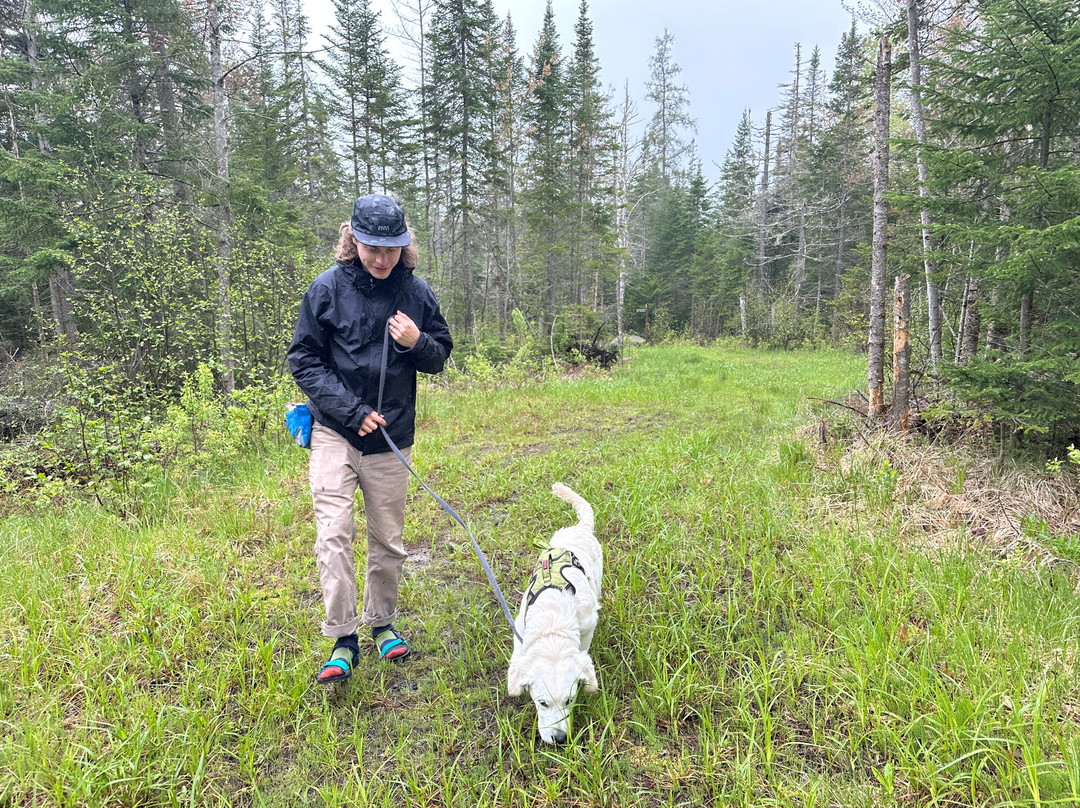 Cascade Welcome Center-普莱西德湖必去景点