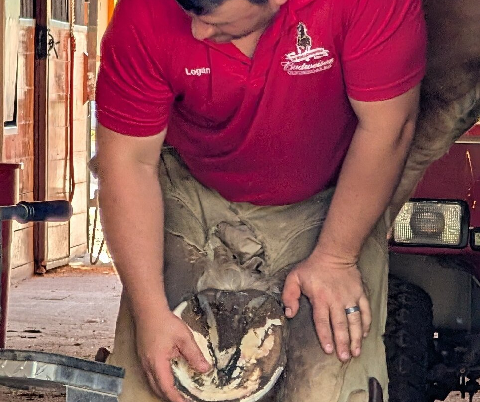 格兰特农场-圣路易斯必去景点