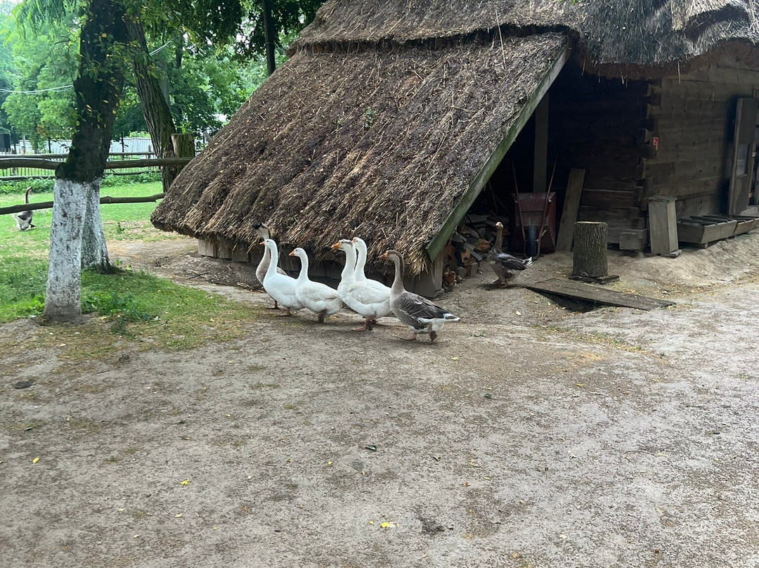 The Lublin Open Air Village Museum-卢布林必去景点
