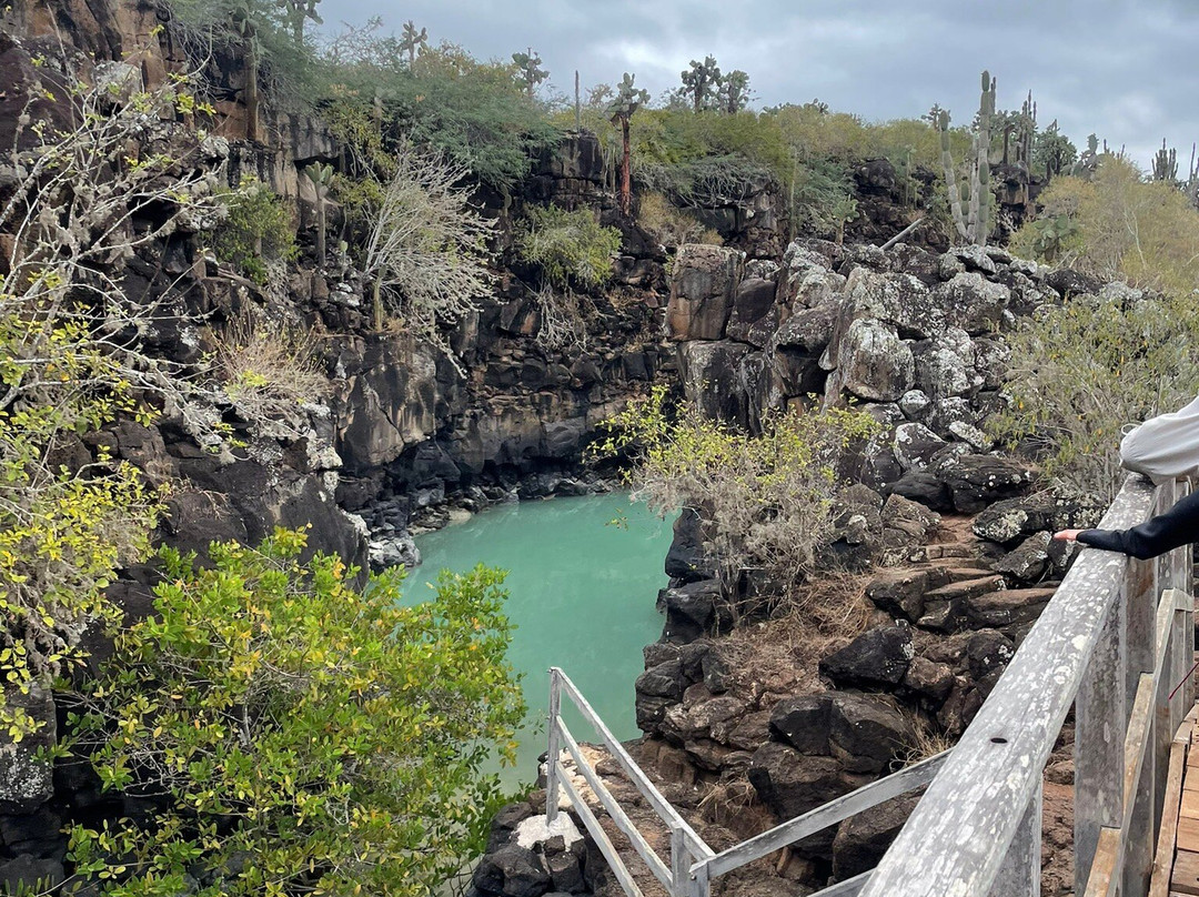 Playa de los Perros-阿约拉港必去景点