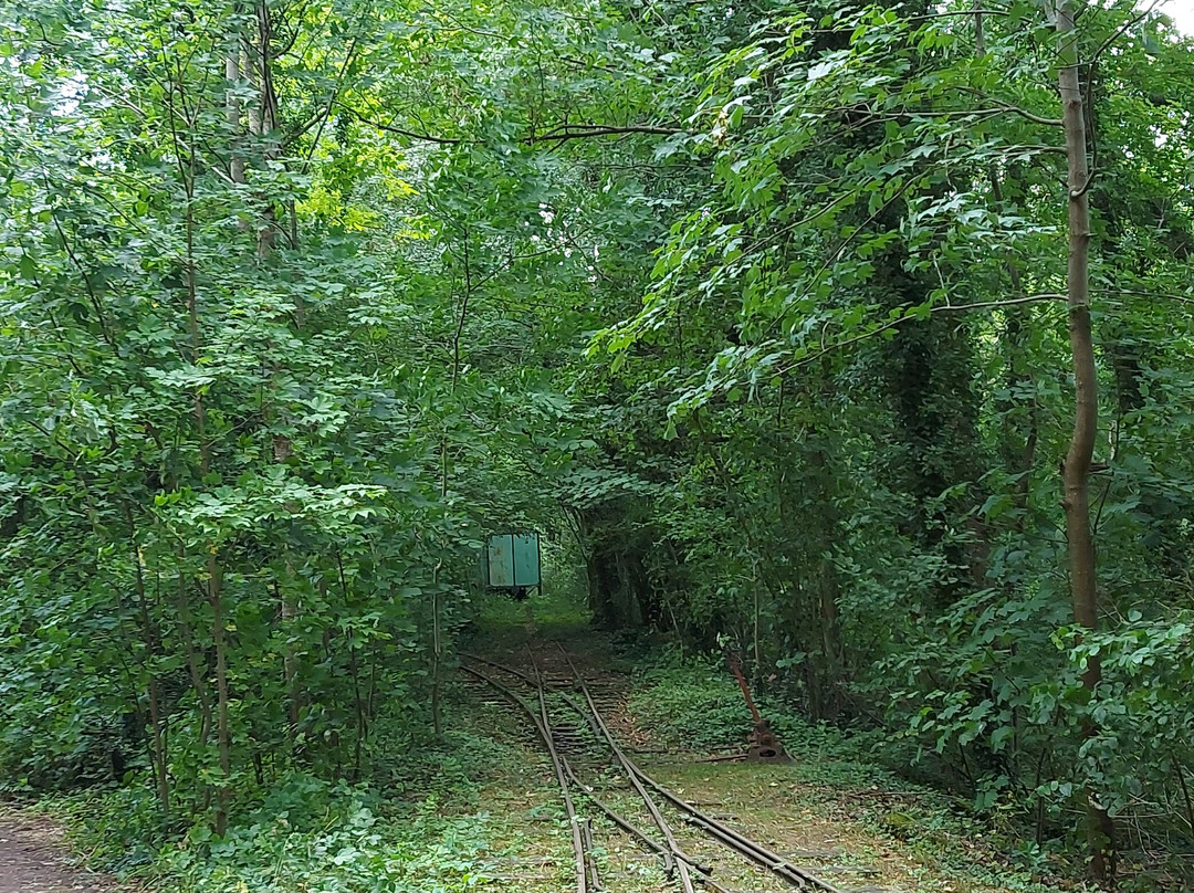 Tacot des Lacs-Grez-sur-Loing必去景点