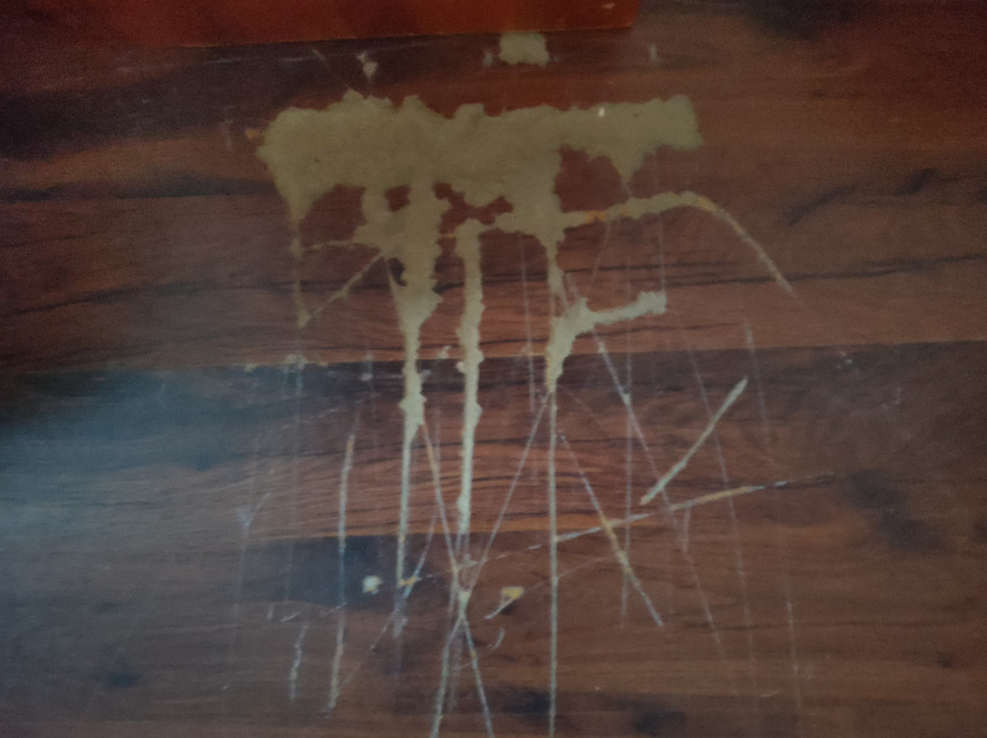 Hotel Vall De Núria主图