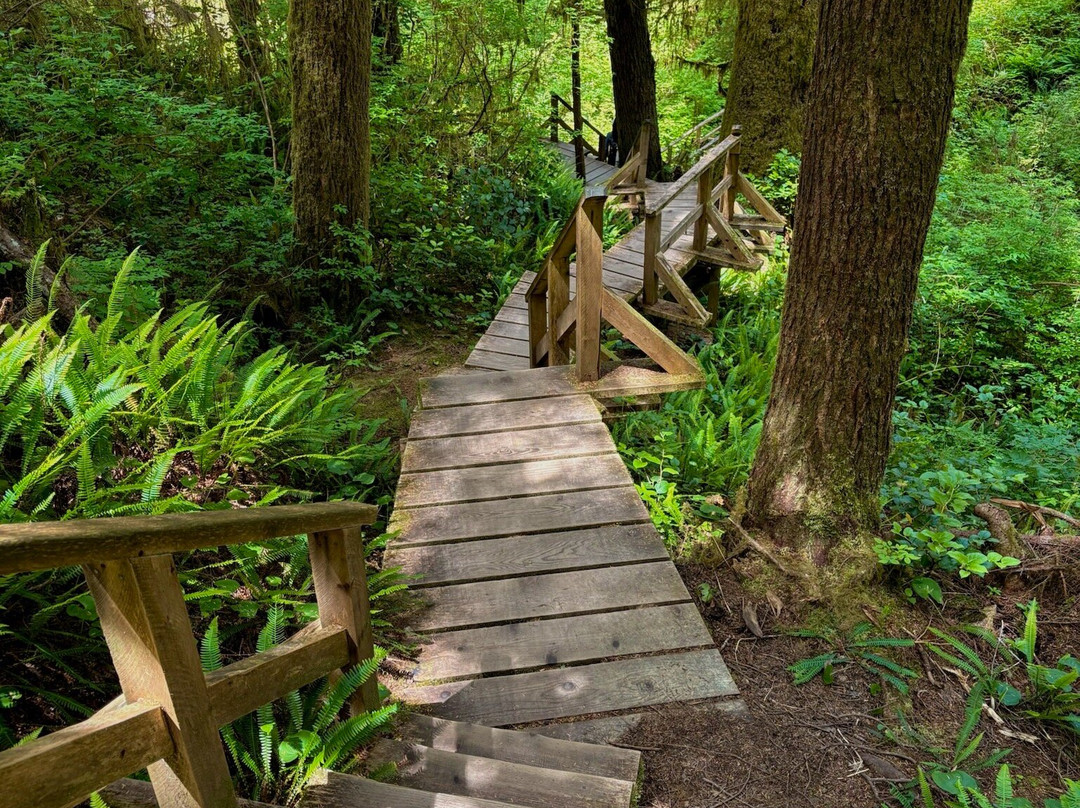 Rainforest Trail-托菲诺必去景点