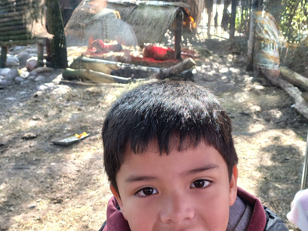 Buin Zoo-Buin必去景点