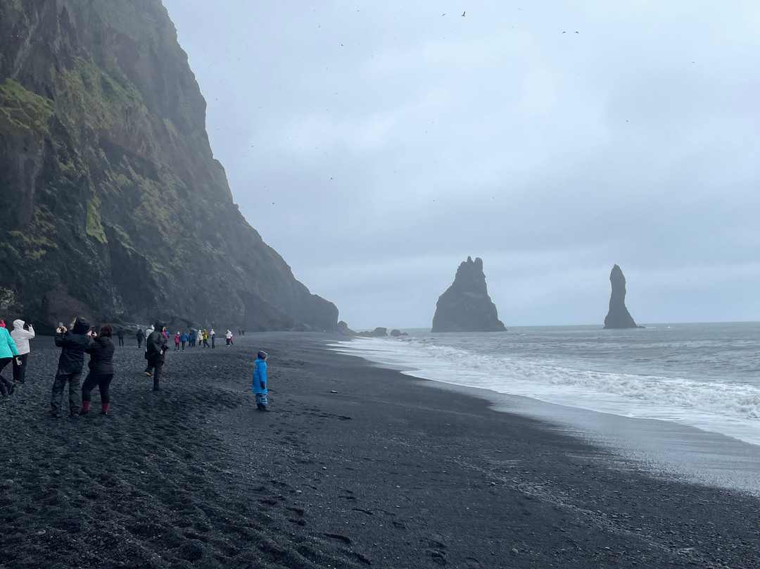 Reynisfjall-维克必去景点