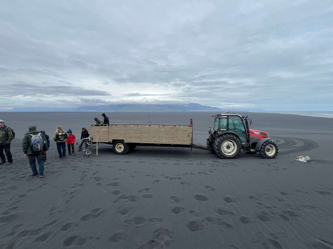 Ingólfshöfði Puffin Tour-史卡法特必去景点