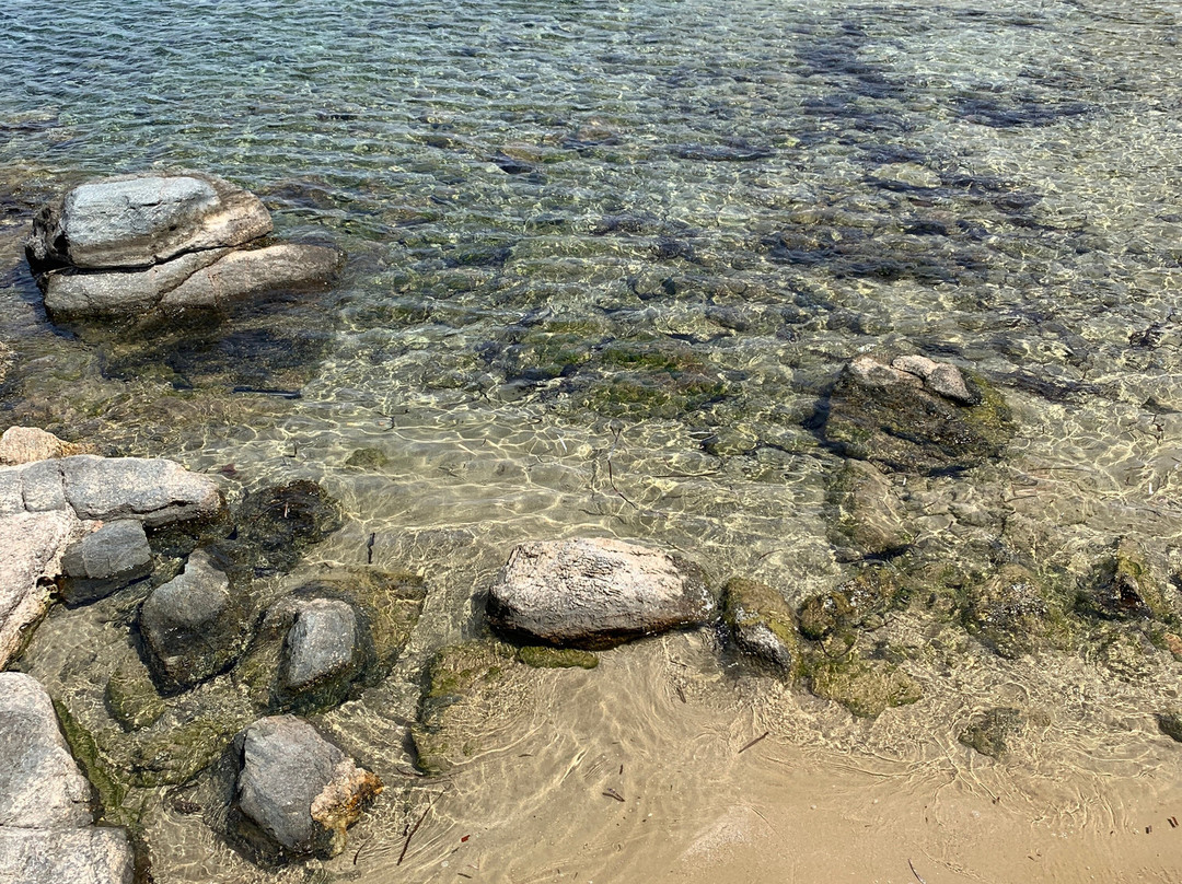 布拉泽拉酒店主图