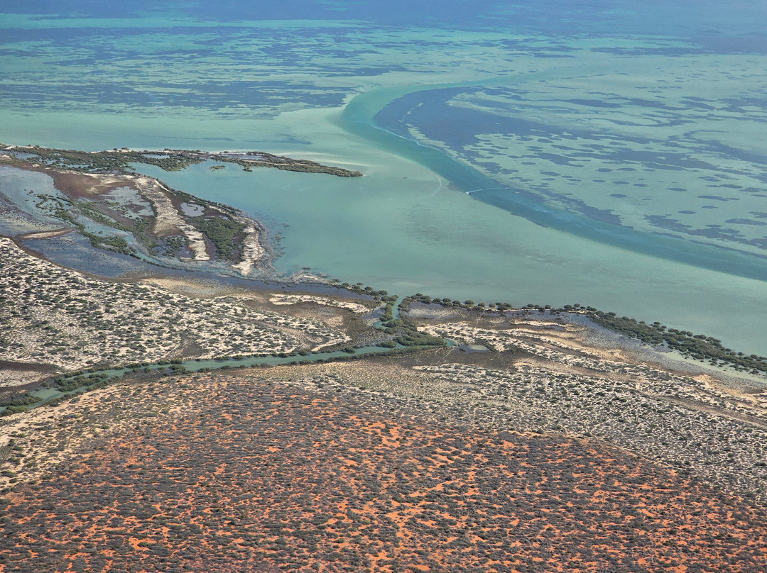 Shark Bay Aviation-德纳姆必去景点