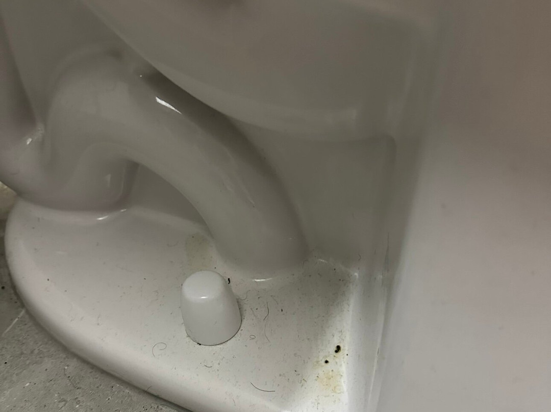 Best Western Seaworld San Antonio主图