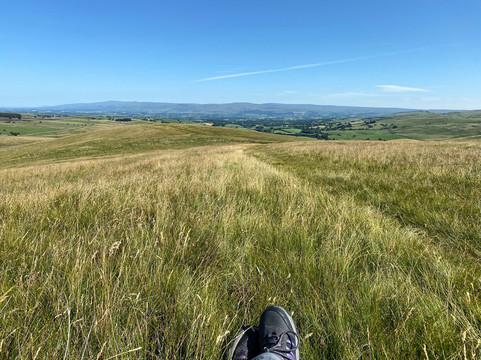 Elysian Fields @ Ing Hill Lodge主图