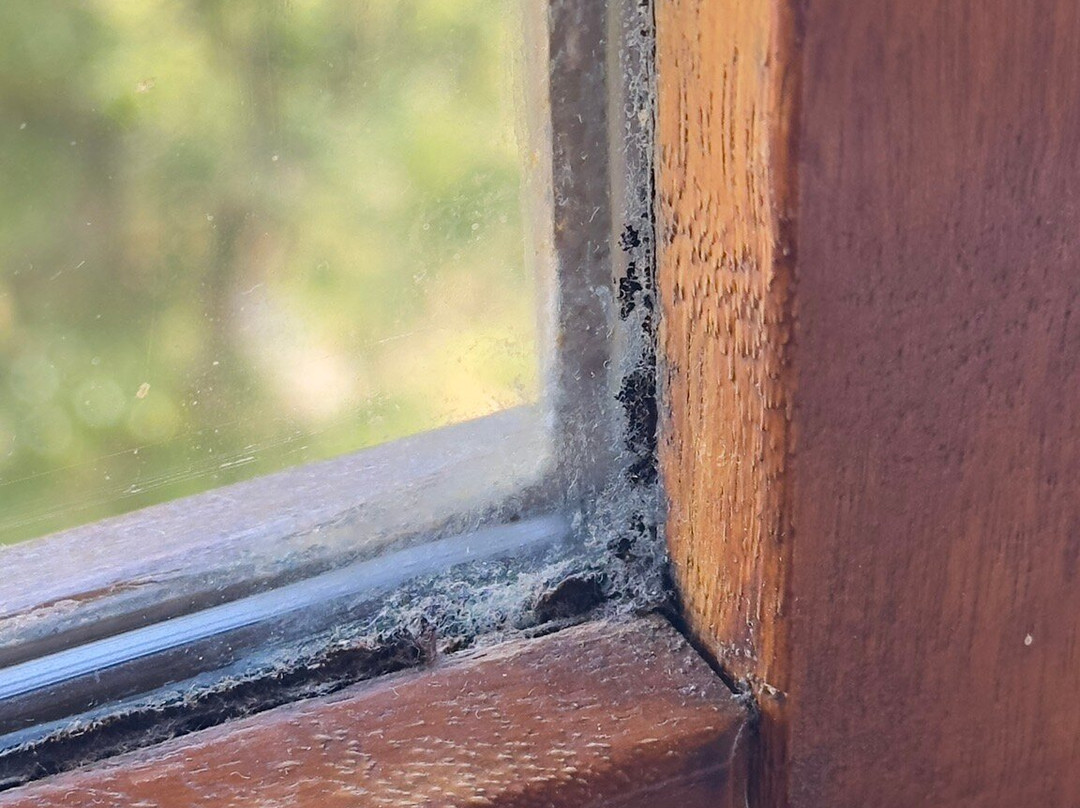 Hotel Club Le Risoux主图