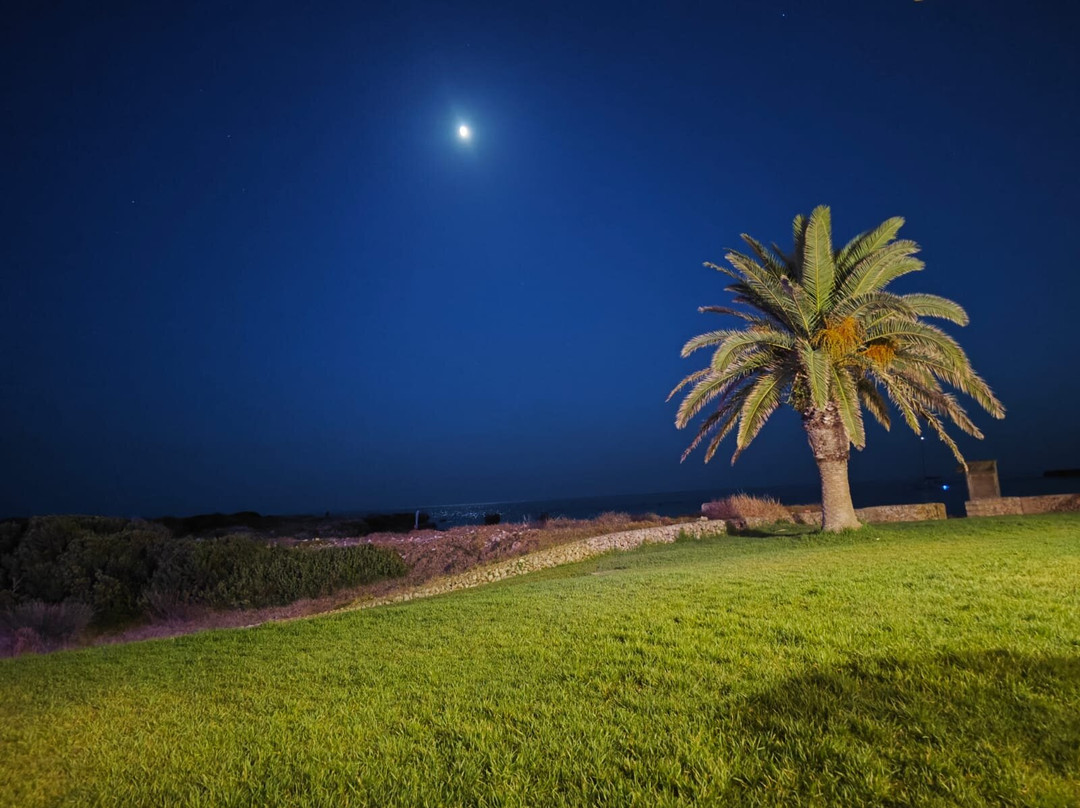 Grupotel Playa Club主图