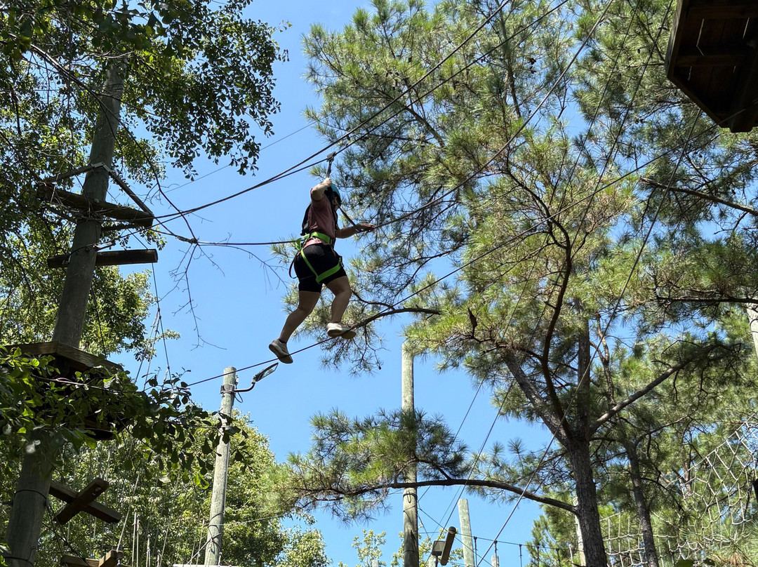 The Swamp Park-Ocean Isle Beach必去景点