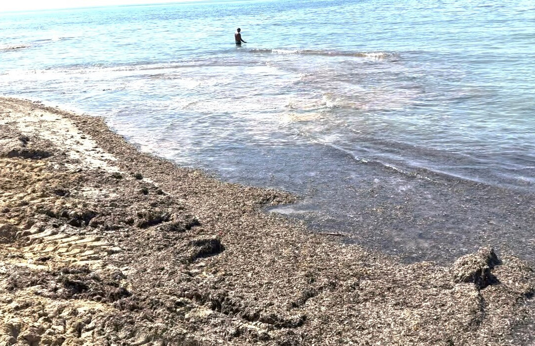 Fanum Pescoluse-Pescoluse必去景点