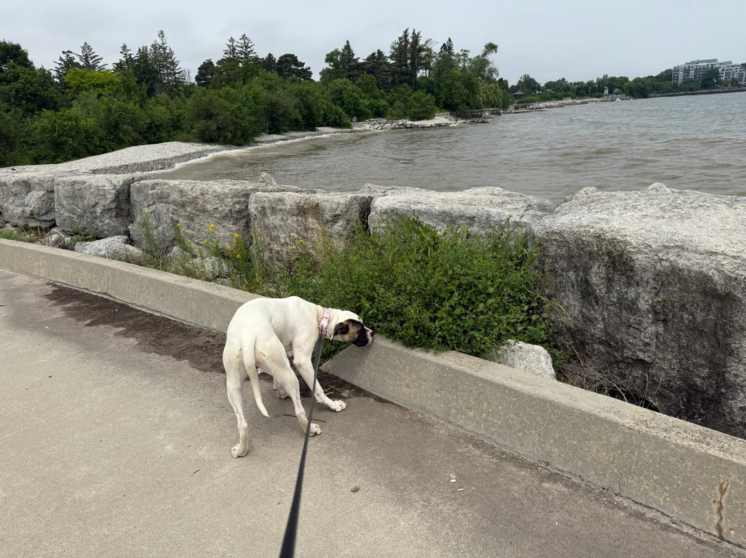 Burlington Waterfront Trail-伯灵顿必去景点
