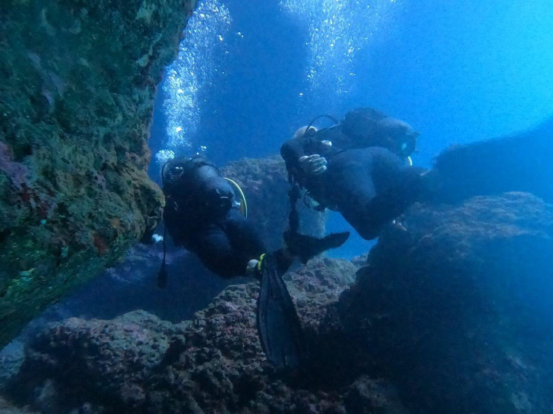 Royal Octopus DIVE CENTER-Kolymbari必去景点
