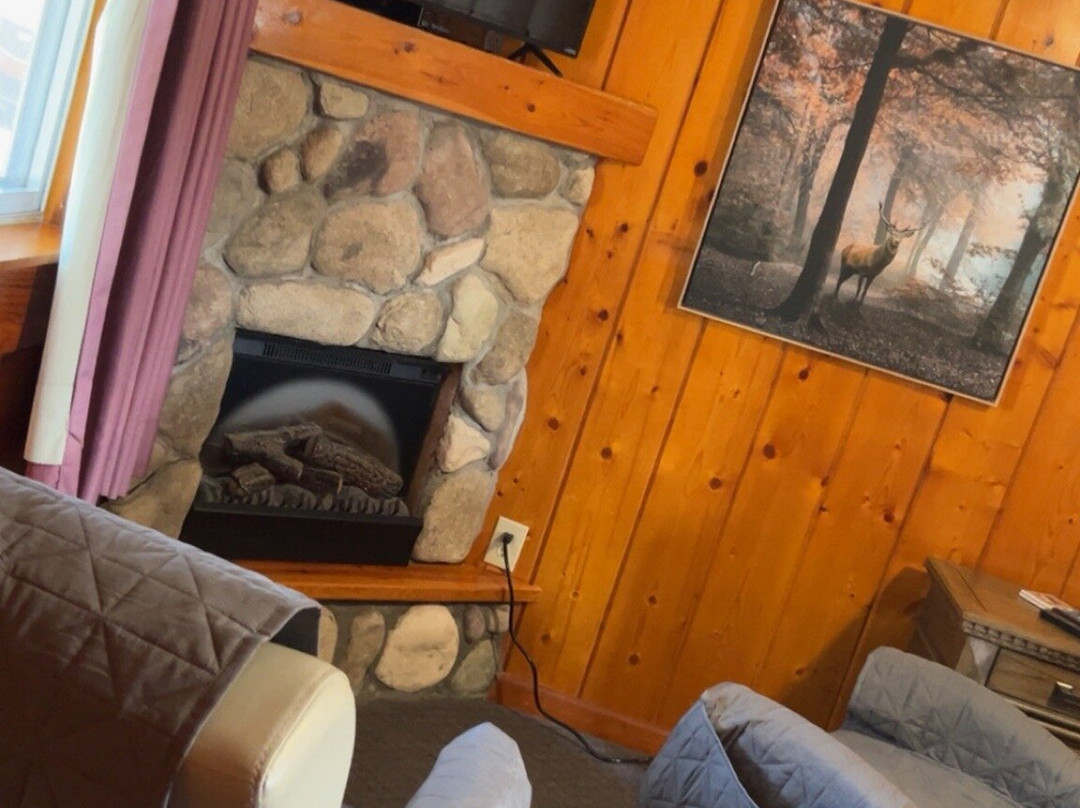 The Cedars Motel主图