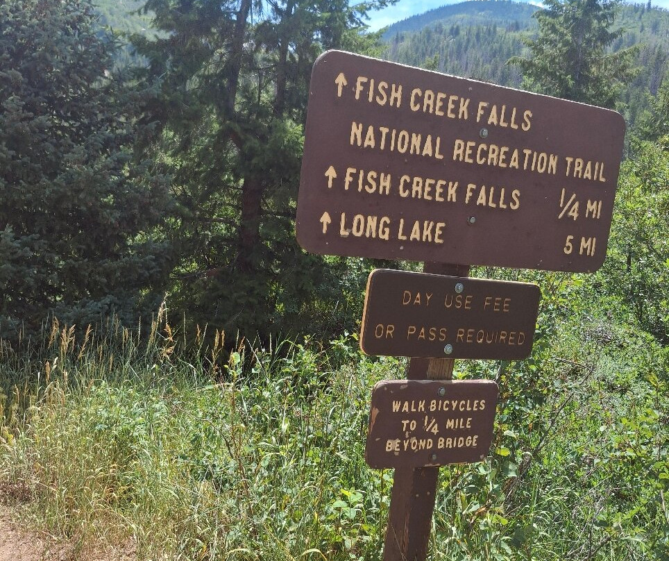 Fish Creek Falls-斯廷博特斯普林斯必去景点