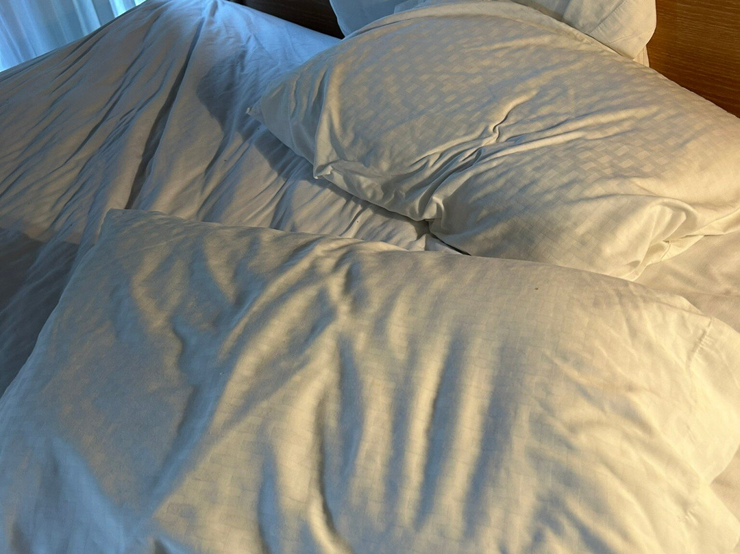 Rodeway Inn Fallsview主图