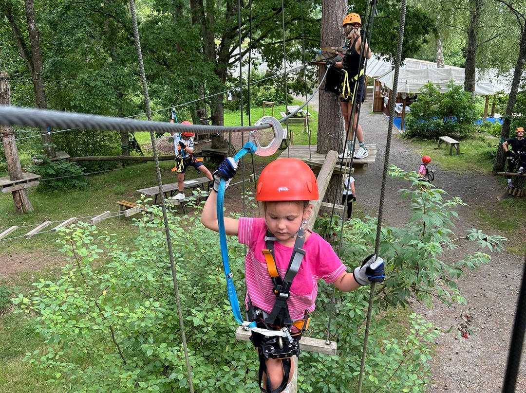 Multilevel Ziplines & Klätterpark-Hassleholm必去景点