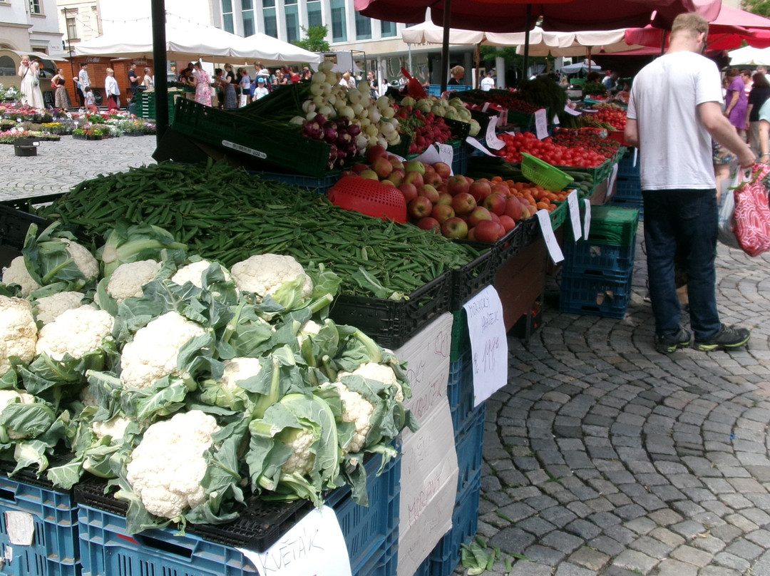 Zelny trh-布尔诺必去景点