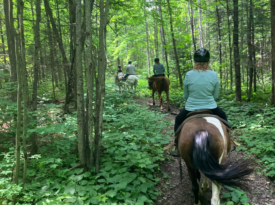 Von Doeler's Ranch-Rutherglen必去景点
