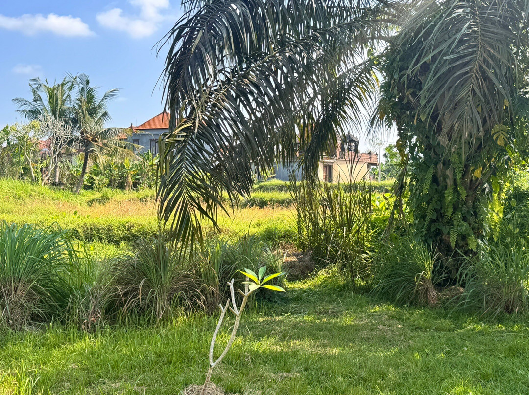 苏丽水疗度假村主图