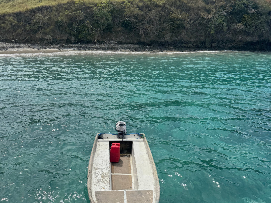 Top Komodo Tours-Labuan Bajo必去景点
