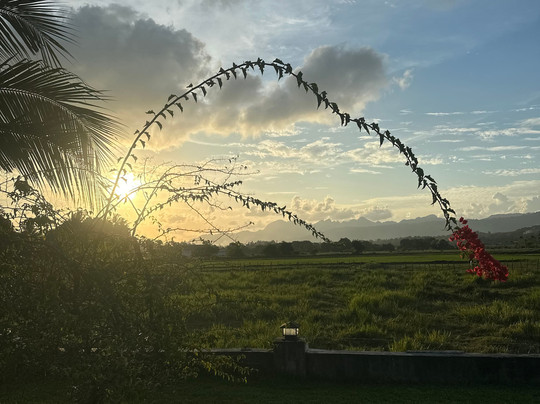 Halcyon Days Langkawi主图