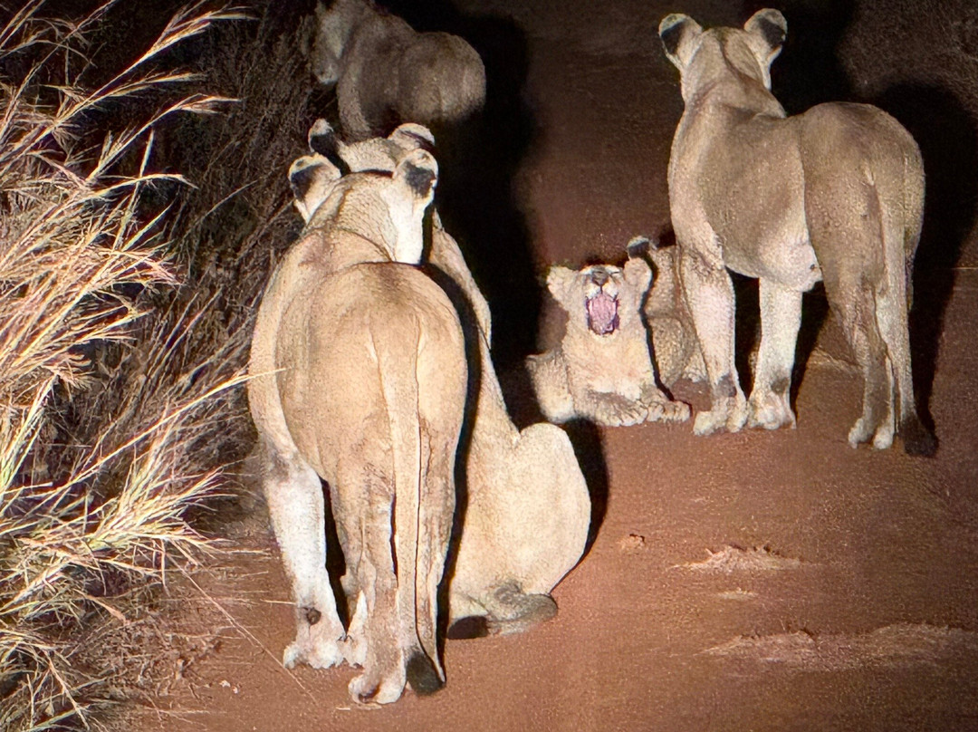 Bearfoot Expeditions-阿鲁沙国家公园必去景点