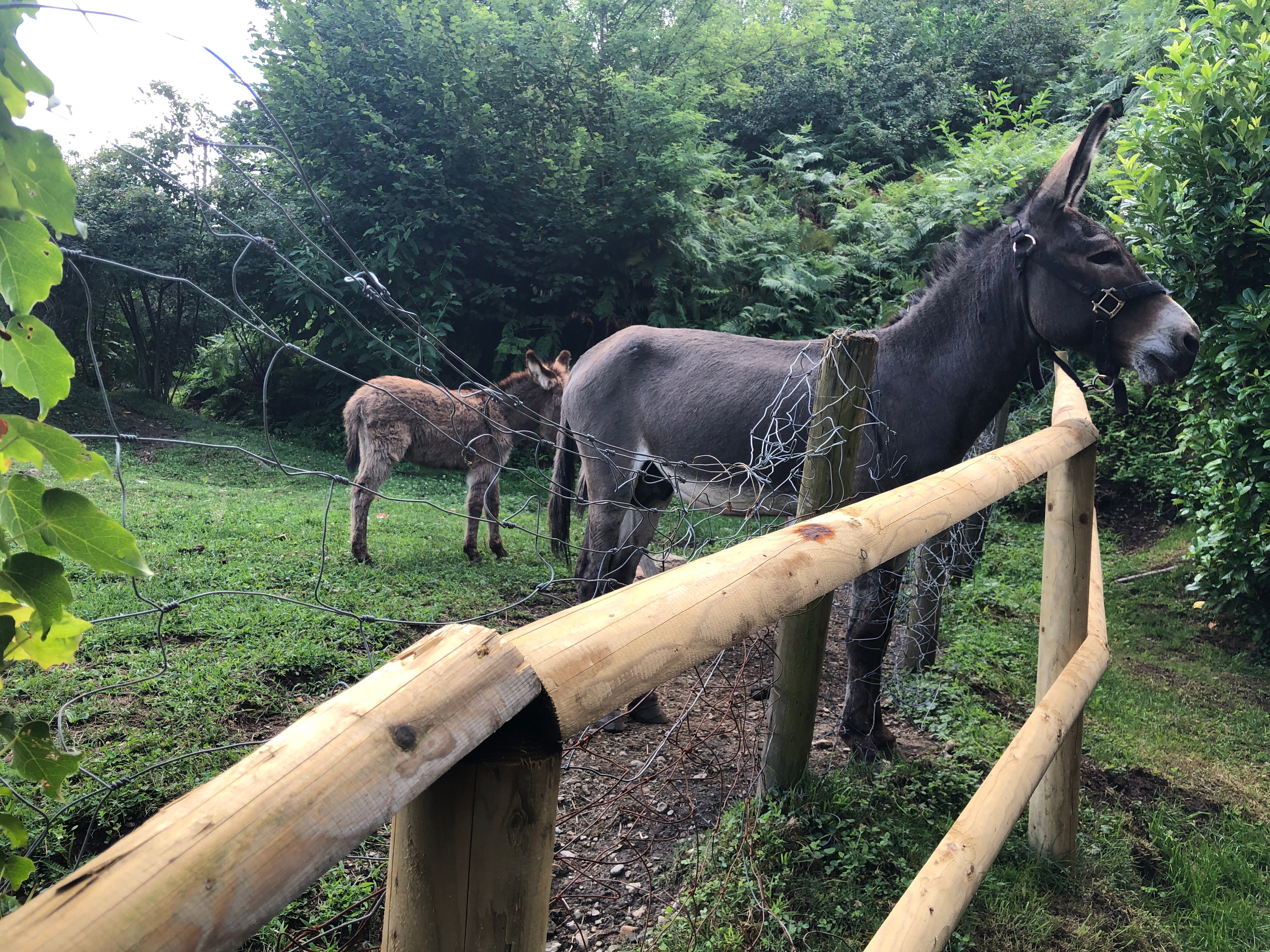 Hotel La Campagnola-官方