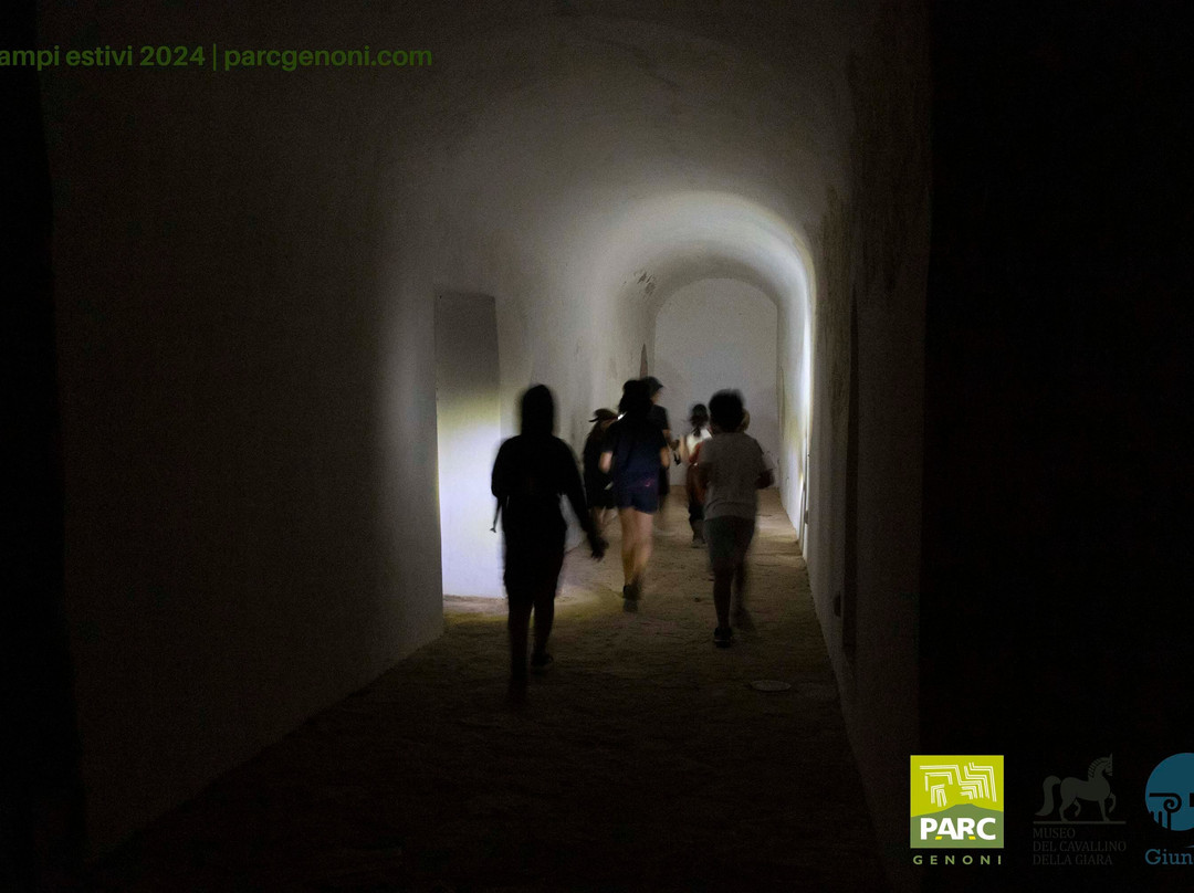 Museo Parc - Museo Paleontologico, Archeologico e Laboratorio didattico-Genoni必去景点