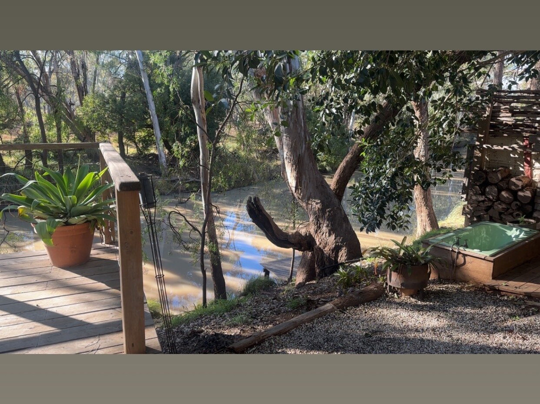 Laurels of Chinchilla主图