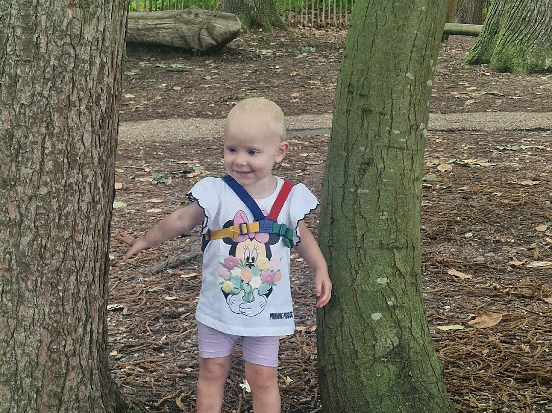 Bewilderwood Norfolk-Hoveton必去景点