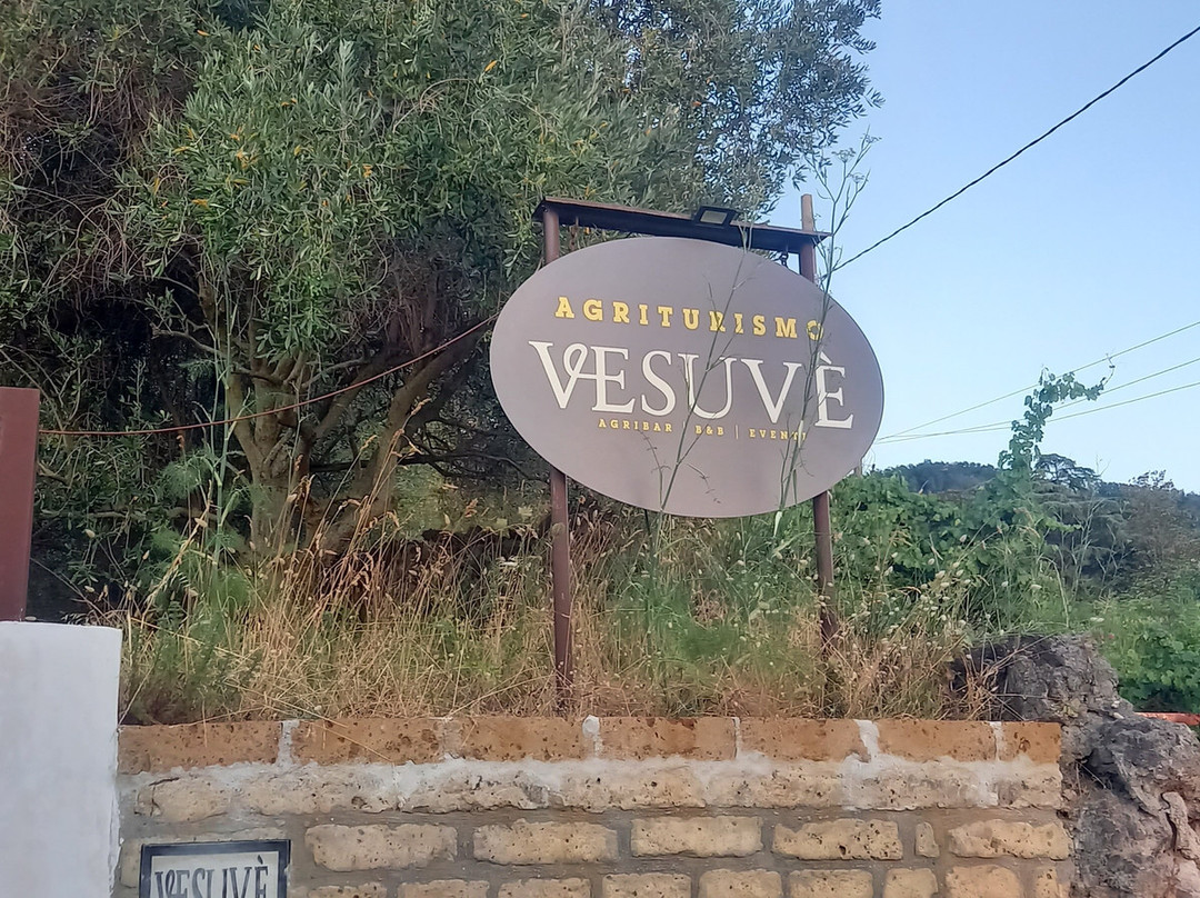 Vesuvè-Massa di Somma必去景点