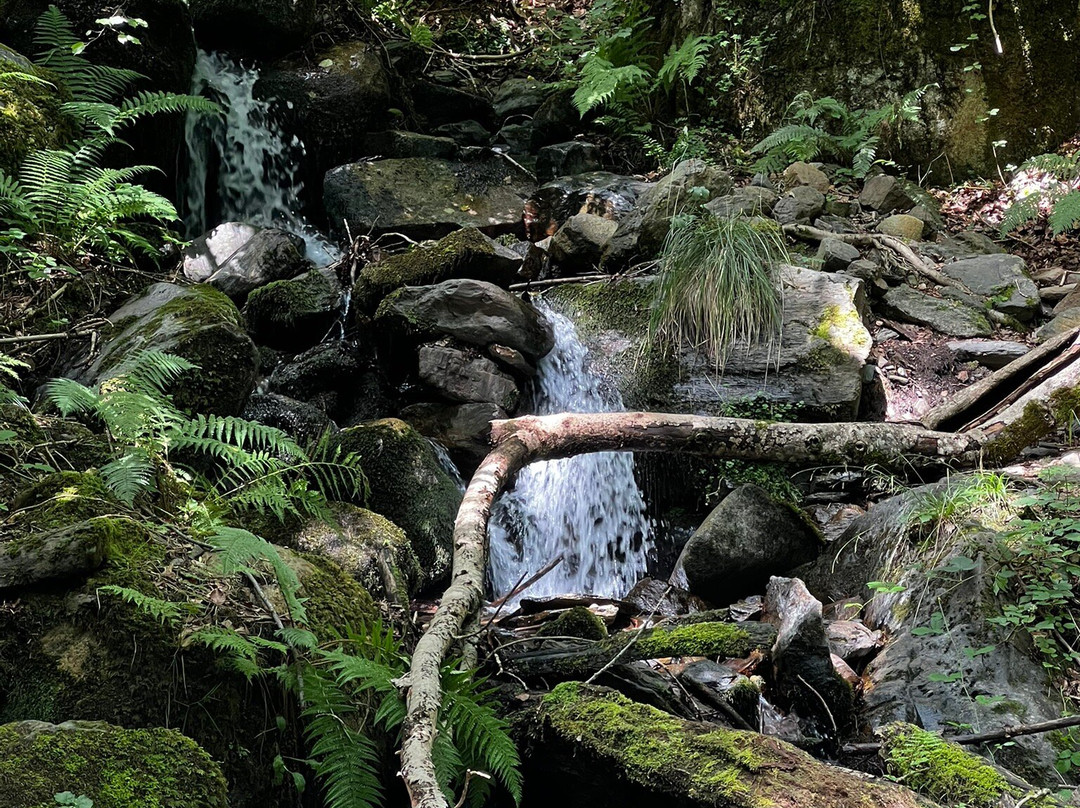 Valle de Carlac-Bausen必去景点