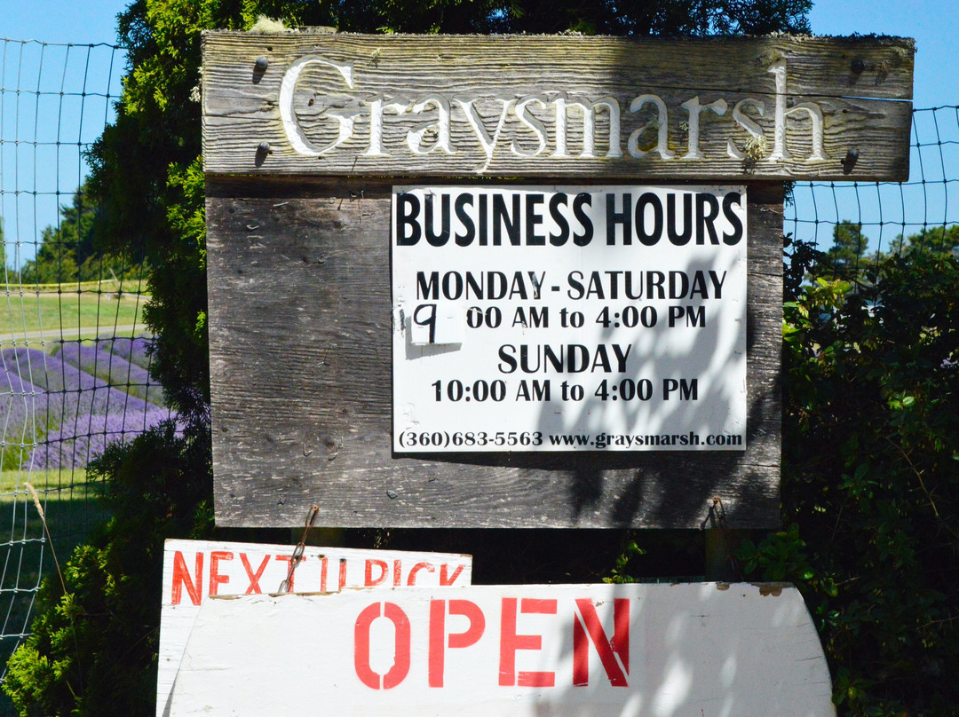 Graysmarsh Berry Farm-塞奎姆必去景点