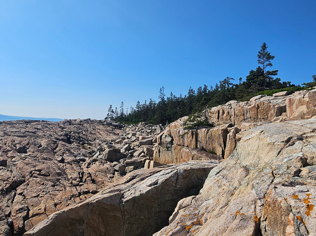 Battle of Aiken Reenactment-艾肯必去景点