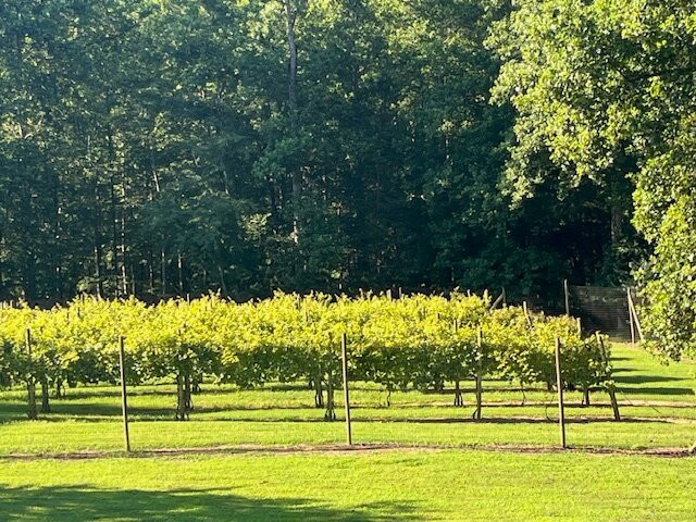 Arcady Vineyard Bed & Breakfast主图