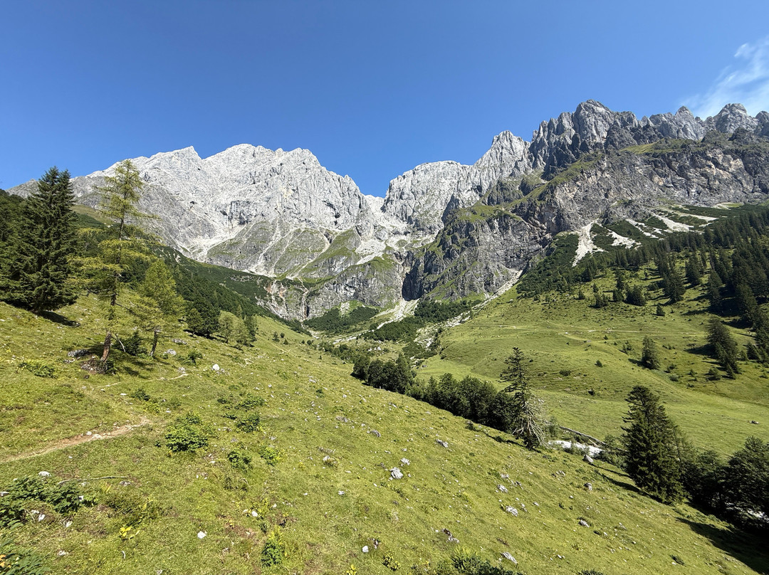 Bergheimat Hotel主图