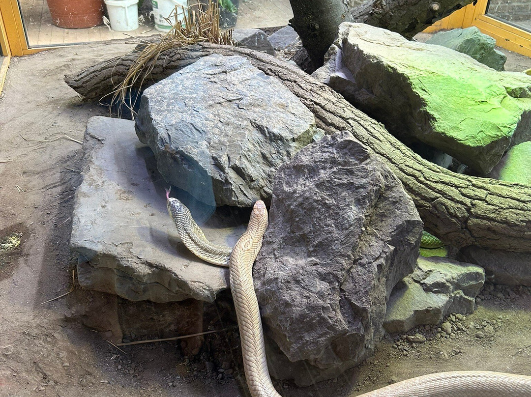 Terrazoo Rheinberg-Rheinberg必去景点